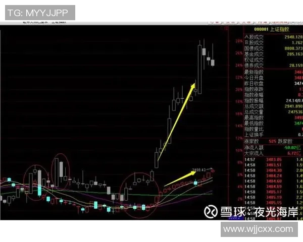 武汉篮球队与成都篮球队赛后技术分析与战术复盘探讨